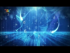 Введение CO. романа Шэньчжэня поднимая материального, Ltd.